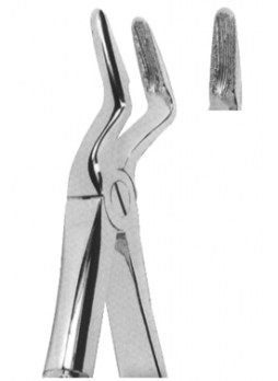 Extracting Forceps